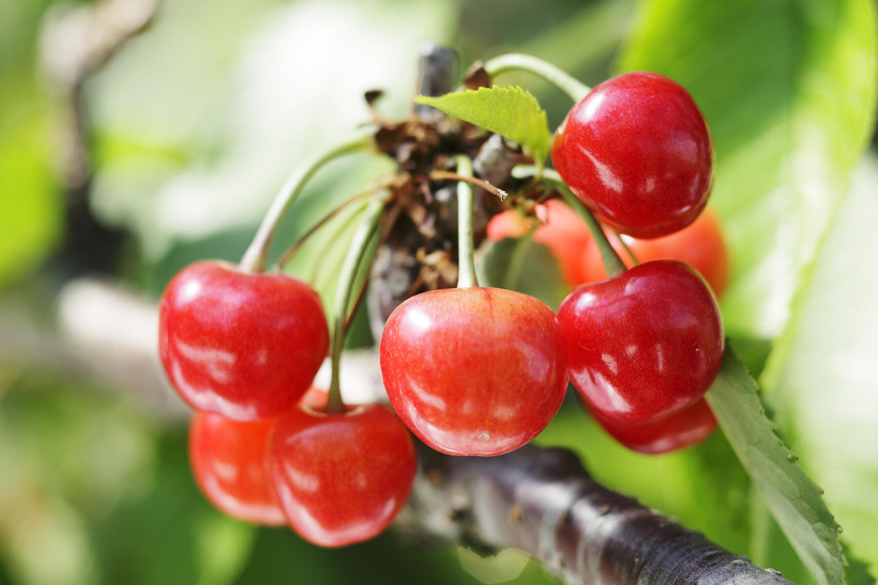 山寺・立石寺 満喫
